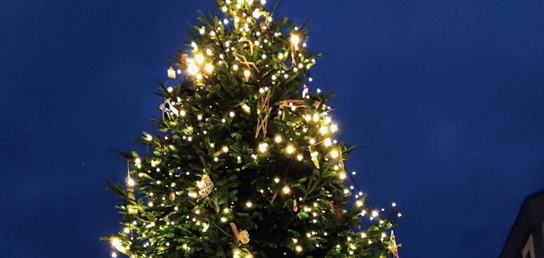 Geschmückter Weihnachtsbaum auf dem Schillerplatz