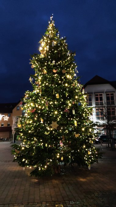 Geschmückter Weihnachtsbaum auf dem Schillerplatz