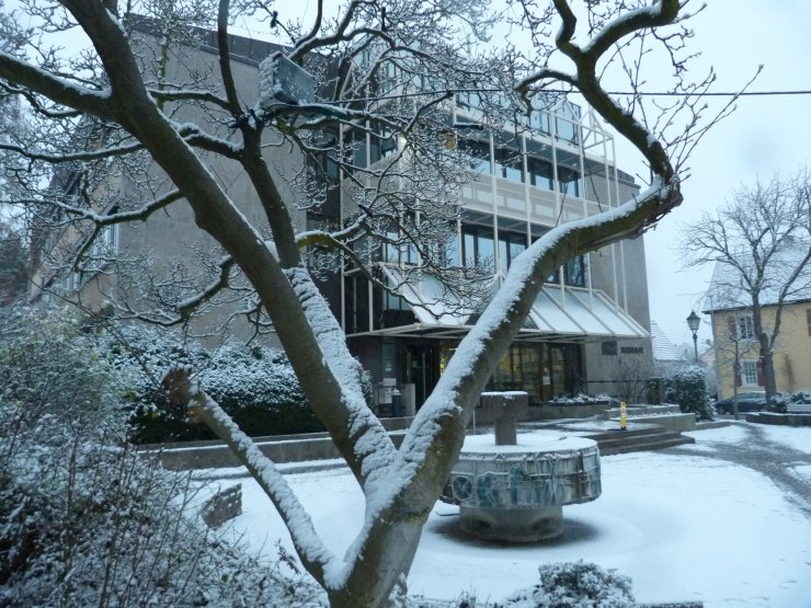 Neues Rathaus im Winter Neues Rathaus im Winter