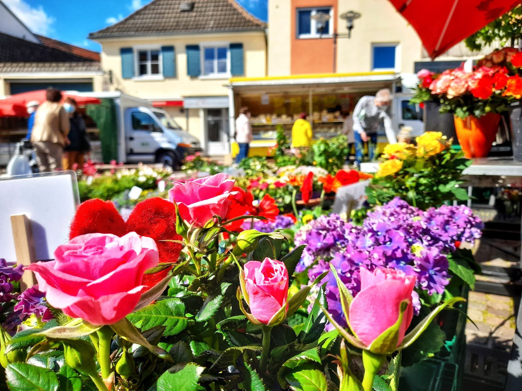 Wochenmarkt Blumen