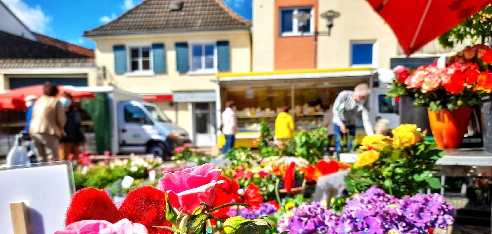 Wochenmarkt Blumen