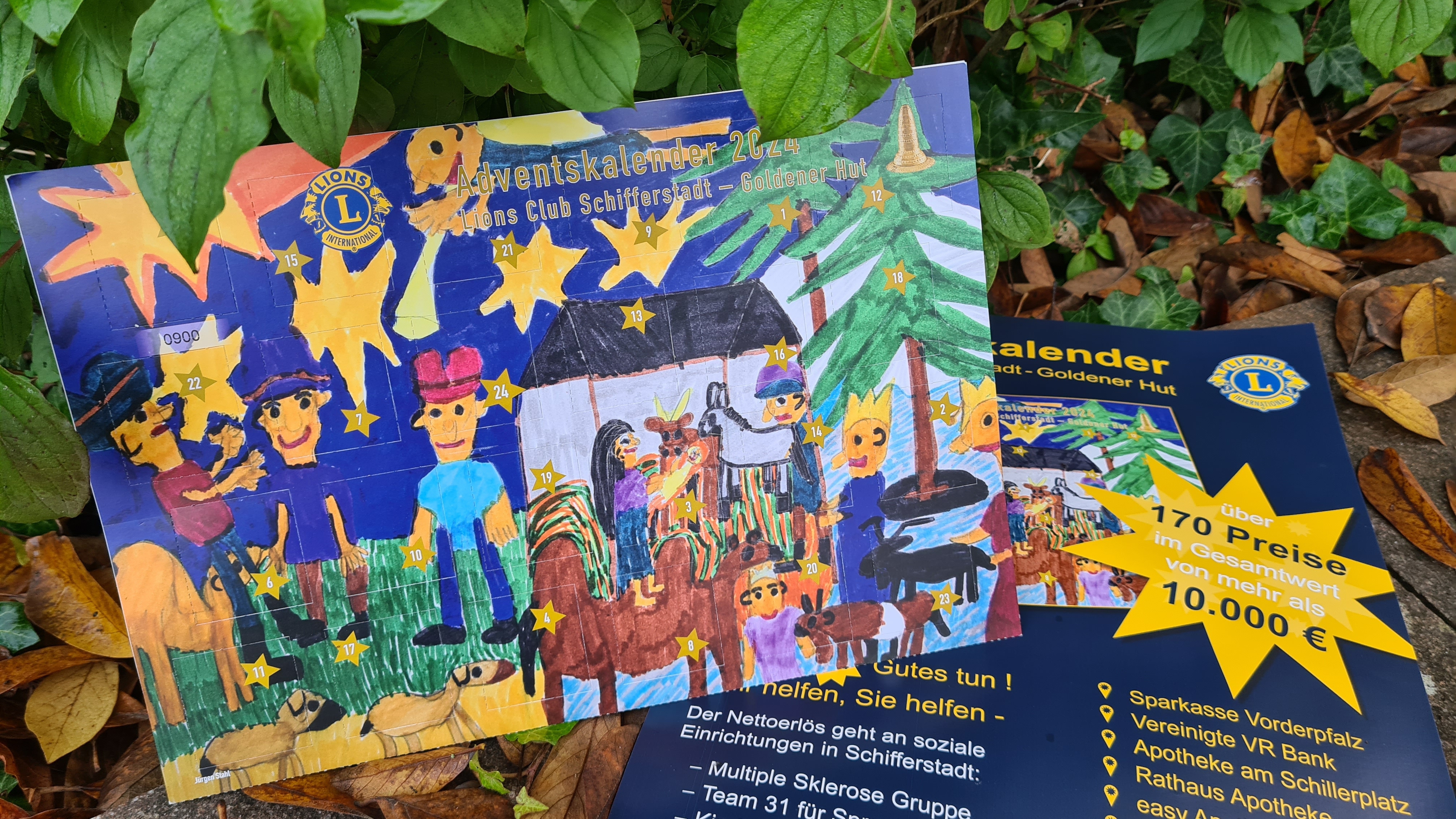 Adventskalender Lions