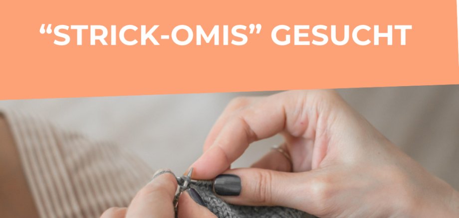 Vorlage Social Media 4:5 - Strick-Omis gesucht