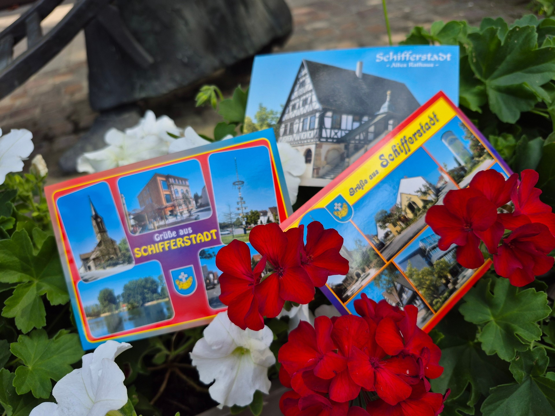 Alte Ansichtskarten zwischen Blumen