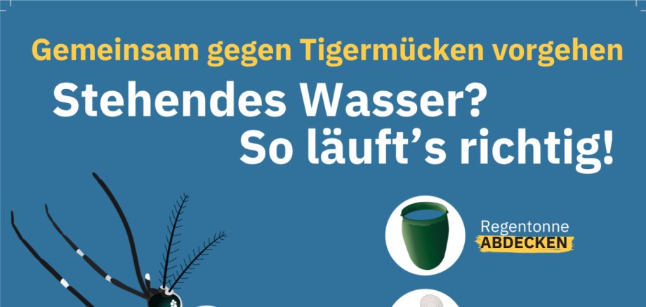 Plakat Tigermücke