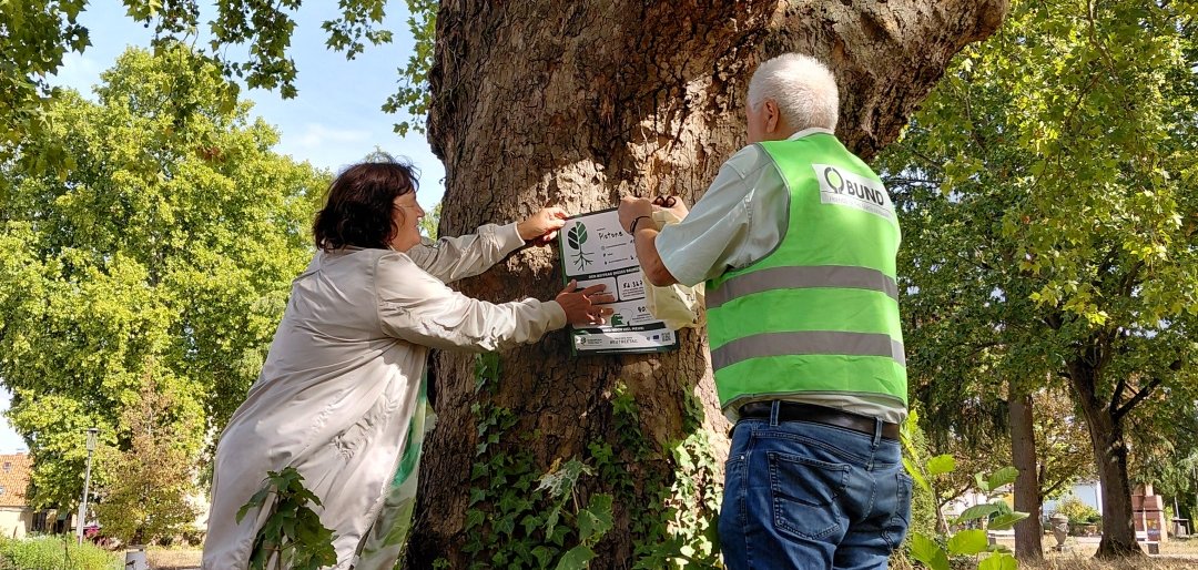 Mann und Frau hängen zusammen ein Schild an den Baum