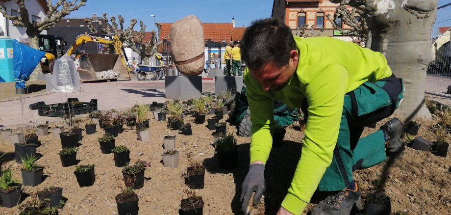 Pflanzarbeiten auf dem Kreuzplatz