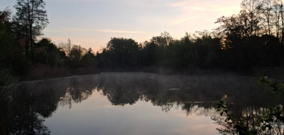 Weiher in Abendstimmung